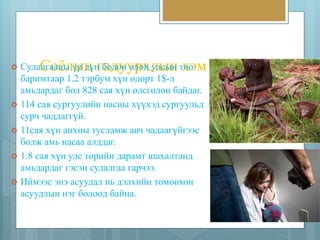  СудаСлгаоанёыл үыр ндү нг баодлоуну олрохн лулысынн тхооэ м хэмжээ 
баримтаар 1.2 тэрбум хүн өдөрт 1$-л 
амьдардаг бол 828 сая хүн өлсгөлөн байдаг. 
 114 сая сургуулийн насны хүүхэд сургуульд 
сурч чаддаггүй. 
 11сая хүн анхны тусламж авч чадаагүйгээс 
болж амь насаа алддаг. 
 1.8 сая хүн улс төрийн дарамт шахалтанд 
амьдардаг гэсэн судалгаа гарчээ. 
 Иймээс энэ асуудал нь дэлхийн томоохон 
асуудлын нэг болоод байна. 
 