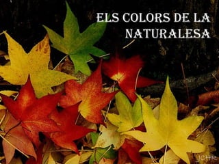 ELS COLORS DE LA
NATURALESA
 