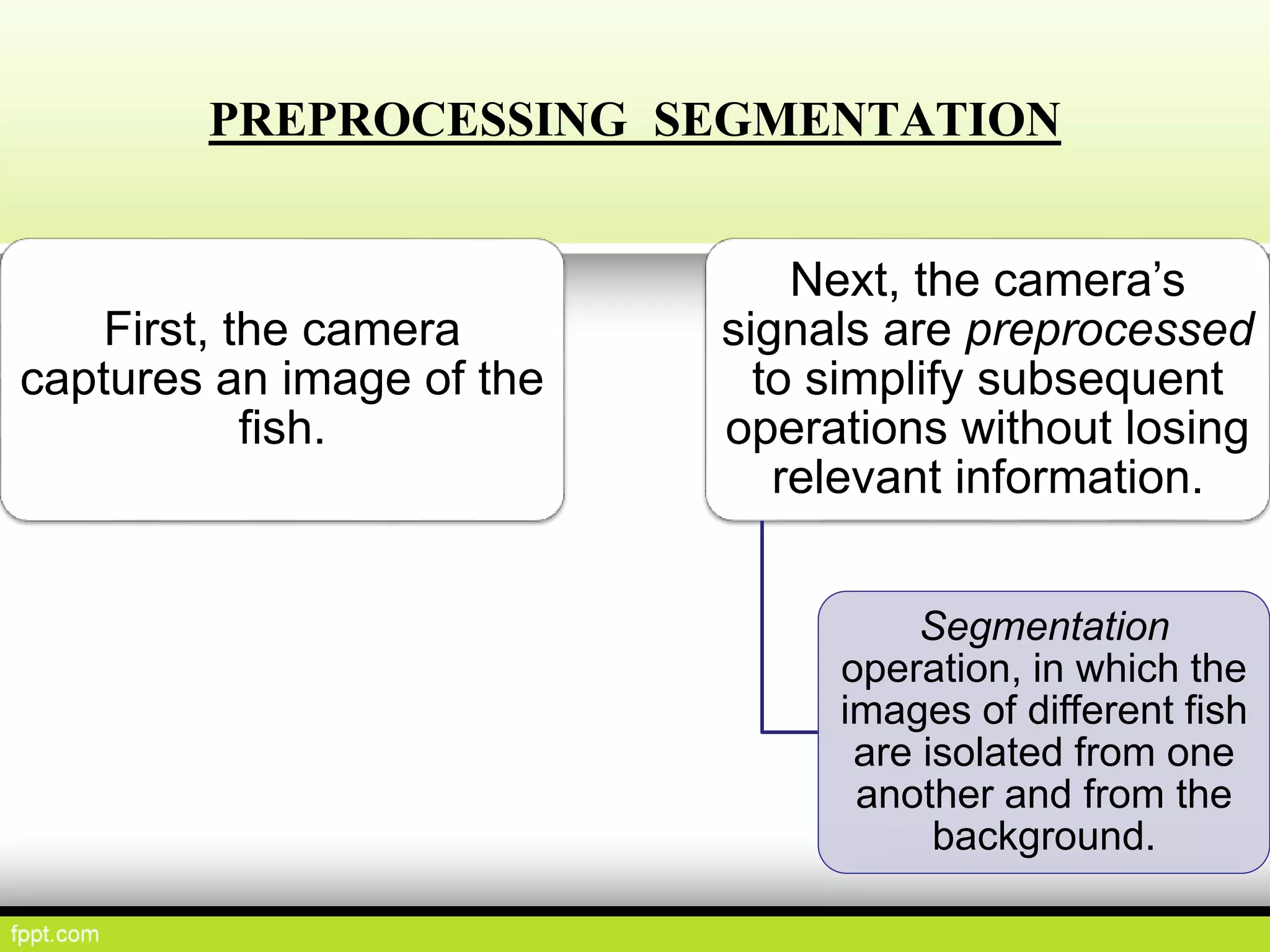 PREPROCESSING SEGMENTATION
First, the camera
captures an image of the
fish.
Next, the camera’s
signals are preprocessed
to simplify subsequent
operations without losing
relevant information.
Segmentation
operation, in which the
images of different fish
are isolated from one
another and from the
background.
 