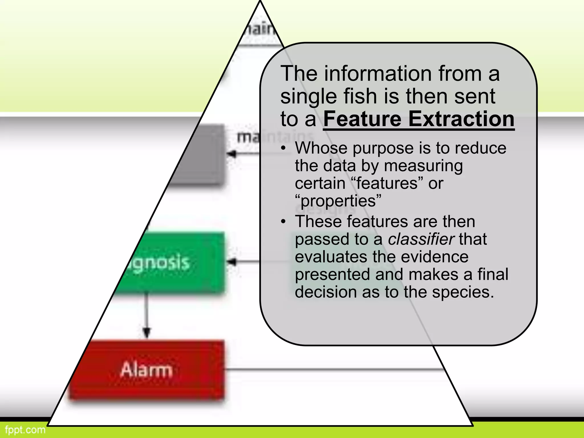 The information from a
single fish is then sent
to a Feature Extraction
• Whose purpose is to reduce
the data by measuring
certain “features” or
“properties”
• These features are then
passed to a classifier that
evaluates the evidence
presented and makes a final
decision as to the species.
 