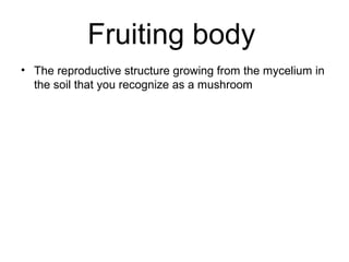 Fruiting body
• The reproductive structure growing from the mycelium in
the soil that you recognize as a mushroom
 