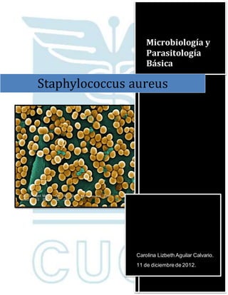 Microbiología y
Parasitología
Básica
Carolina Lizbeth Aguilar Calvario.
11 de diciembre de 2012.
Staphylococcus aureus
 