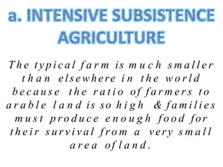 T h e t y p i c a l f a r m is m u c h s m a l l e r
t h a n elsewhere i n t h e w o r l d
b e c a u s e t h e r a t i o of f a r m e r s t o
a r a b l e l a n d is so h i g h & f a m i l i e s
m u s t p ro d u c e e n o u g h f o o d for
t h e i r s u r v i v a l f r o m a very s m a l l
a r e a of l a n d .
 