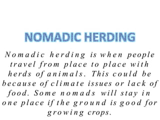 N o m a d i c h e r d i n g is w h e n people
t r a v e l f ro m p l a c e t o p l a c e w i t h
h e rd s of a n i m a l s . This c o u l d be
b e c a u s e of c l i m a t e issues o r l a c k of
f o o d . S o m e n o m a d s will s t a y i n
o n e p l a c e if t h e g r o u n d is g o o d for
g r o w i n g crops.
 