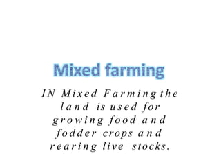 I N M i x e d F a r m i n g t h e
l a n d is u s e d for
g r o w i n g f o o d a n d
f o d d e r crops a n d
r e a r i n g live stocks.
 