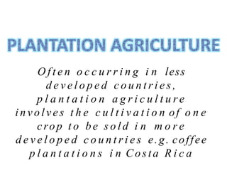 O f t e n o c c u r r i n g i n less
d e v e l o p e d c o u n t r i e s ,
p l a n t a t i o n a g r i c u l t u r e
involves t h e c u l t i v a t i o n of o n e
crop t o be s o l d i n m o r e
d e v e l o p e d c o u n t r i e s e.g. coffee
p l a n t a t i o n s i n Costa R i c a
 