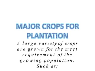 A l a r g e v a r i e t y of crops
a r e g r o w n for t h e m e e t
r e q u i r e m e n t of t h e
g r o w i n g p o p u l a t i o n .
S u c h as:
 