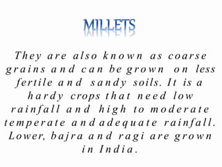T h e y a r e a l s o k n o w n a s coarse
g r a i n s a n d c a n be g r o w n o n less
fertile a n d s a n d y soils. I t is a
h a r d y crops t h a t n e e d l o w
r a i n f a l l a n d h i g h t o m o d e r a t e
t e m p e r a t e a n d a d e q u a t e r a i n f a l l .
Lower, b a j r a a n d r a g i a r e g r o w n
i n I n d i a .
 