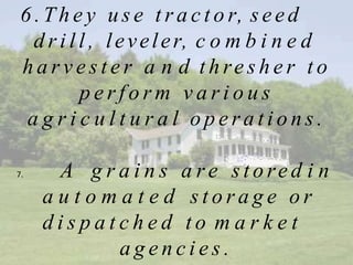 6 . T h e y u s e t r a c t o r, s e e d
d r i l l , leveler, c o m b i n e d
h a r v e s t e r a n d t h re s h e r t o
p e r f o r m v a r i o u s
a g r i c u l t u r a l o p e r a t i o n s .
7. A g r a i n s a r e s t o re d i n
a u t o m a t e d s t o r a g e o r
d i s p a t c h e d t o m a r k e t
a g e n c i e s .
 
