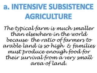 The typical farm is much smaller
than elsewhere in the world
because the ratio of farmers to
arable land is so high & families
must produce enough food for
their survival from a very small
area of land.
 