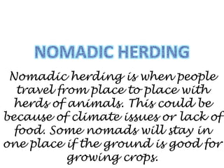 Nomadic herding is when people
travel from place to place with
herds of animals. This could be
because of climate issues or lack of
food. Some nomads will stay in
one place if the ground is good for
growing crops.
 