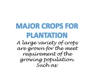 A large variety of crops
are grown for the meet
requirement of the
growing population.
Such as:
 