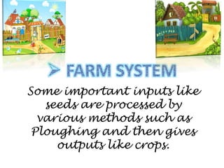 Some important inputs like
seeds are processed by
various methods such as
Ploughing and then gives
outputs like crops.
 