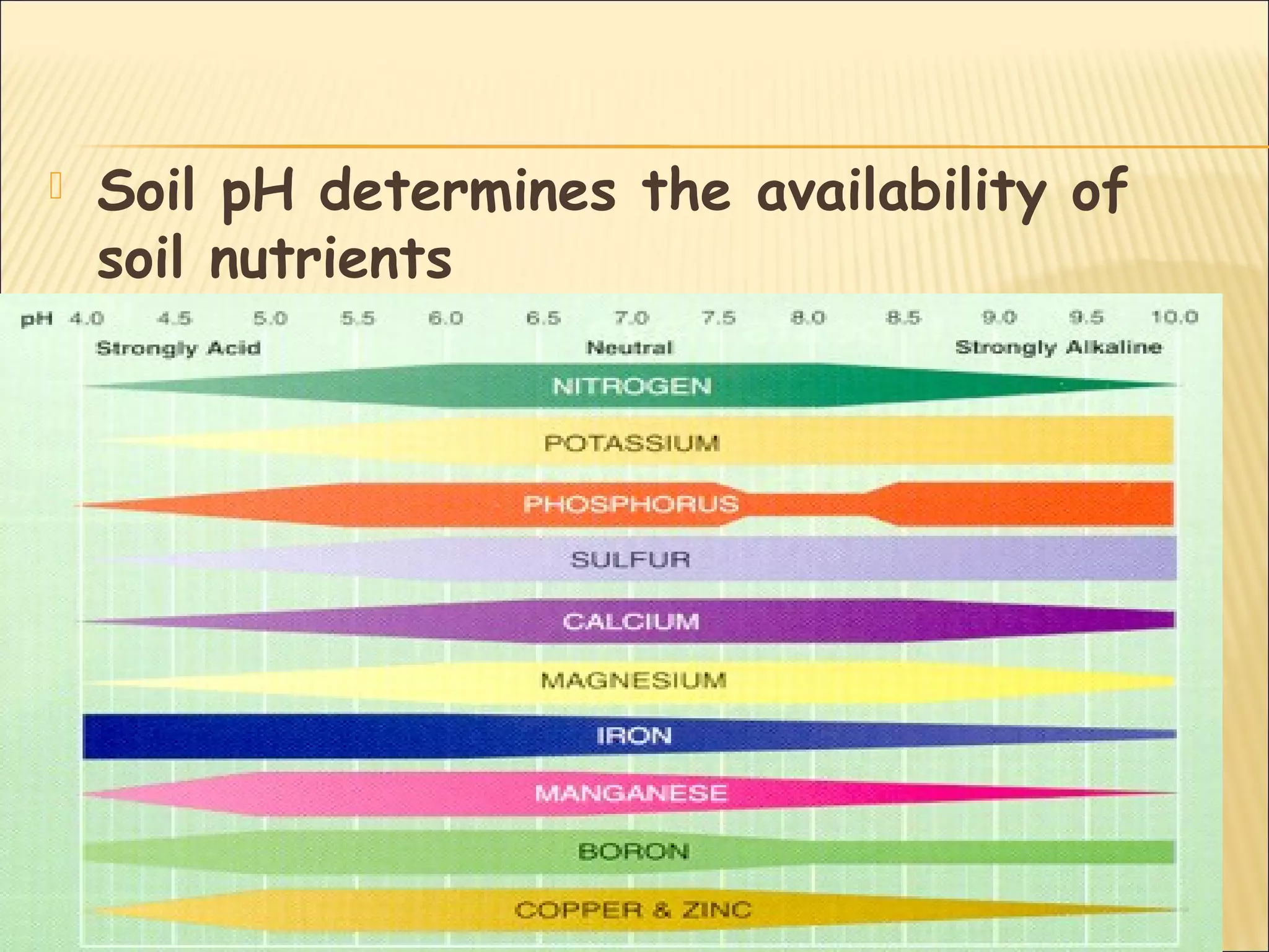  Soil pH determines the availability of
soil nutrients
 