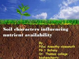 By,
Pillai Aswathy viswanath
PG 1 Botany
St. Thomas college
kozhencherry
Soil characters influencing
nutrient availability
 