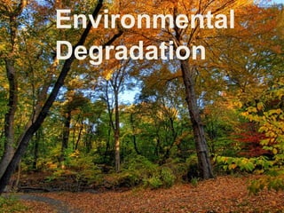 Environmental
Degradation
 