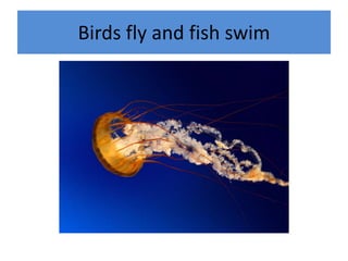 Birds fly and fish swim
 