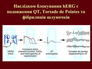 Наслідком блокування hERG є
подовження QT, Torsade de Pointes та
фібриляція шлуночків
 