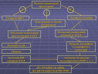 Падіння концентраціїПадіння концентрації
прогестеронупрогестерону
Збільшення концентраціїЗбільшення концентрації
простагландину Е2,простагландину Е2, FF22
Експресія ЦОГ2Експресія ЦОГ2
ГідроксипростагландинГідроксипростагландин
дегідрогеназадегідрогеназа
Експресія хемокінівЕкспресія хемокінів
++
Звуження судинЗвуження судин
Міграція нейтрофілівМіграція нейтрофілів
та макрофагів вта макрофагів в
ендометрійендометрій
Активація матрикснихАктивація матриксних
металопротеїназ (ММР 1, 3, 7)металопротеїназ (ММР 1, 3, 7)
ГіпоксіяГіпоксія
АктиваціяАктивація HIFHIF
-експресія-експресія VEGFVEGF
ДЕСТРУКЦІЯ ТКАНИН,ДЕСТРУКЦІЯ ТКАНИН,
ДЕСКВАМАЦІЯ ЕНДОМЕТРІЮДЕСКВАМАЦІЯ ЕНДОМЕТРІЮ
Збільшення концентраціїЗбільшення концентрації
хемокінів (CXCL8)хемокінів (CXCL8)
--
++
 