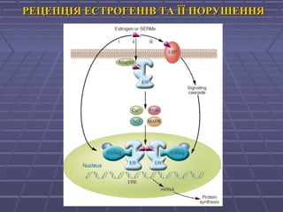 РЕЦЕПЦІЯ ЕСТРОГЕНІВ ТА ЇЇ ПОРУШЕННЯРЕЦЕПЦІЯ ЕСТРОГЕНІВ ТА ЇЇ ПОРУШЕННЯ
 
