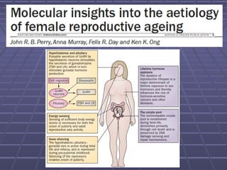 Патофізіологія репродуктивної системи