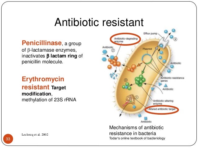 S. pyogenes, its virulence, antibiotic, phytochemicals