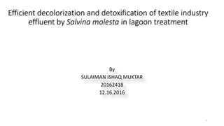 Efficient decolorization and detoxification of textile industry
effluent by Salvina molesta in lagoon treatment
By
SULAIMAN ISHAQ MUKTAR
20162418
12.16.2016
1
 