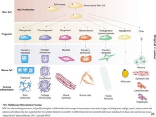 Bone tissue engineering challenges in oral and maxillofacial surgery | PPTX