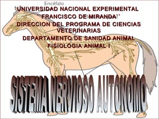 UNIVERSIDAD NACIONAL EXPERIMENTALUNIVERSIDAD NACIONAL EXPERIMENTAL
``FRANCISCO DE MIRANDA````FRANCISCO DE MIRANDA``
DIRECCION DEL PROGRAMA DE CIENCIASDIRECCION DEL PROGRAMA DE CIENCIAS
VETERINARIASVETERINARIAS
DEPARTAMENTO DE SANIDAD ANIMALDEPARTAMENTO DE SANIDAD ANIMAL
FISIOLOGIA ANIMAL IFISIOLOGIA ANIMAL I
 