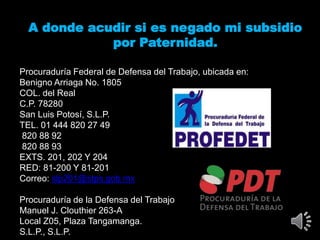 A donde acudir si es negado mi subsidio
por Paternidad.
Procuraduría Federal de Defensa del Trabajo, ubicada en:
Benigno Arriaga No. 1805
COL. del Real
C.P. 78280
San Luis Potosí, S.L.P.
TEL. 01 444 820 27 49
820 88 92
820 88 93
EXTS. 201, 202 Y 204
RED: 81-200 Y 81-201
Correo: slp201@stps.gob.mx
Procuraduría de la Defensa del Trabajo
Manuel J. Clouthier 263-A
Local Z05, Plaza Tangamanga.
S.L.P., S.L.P.
 