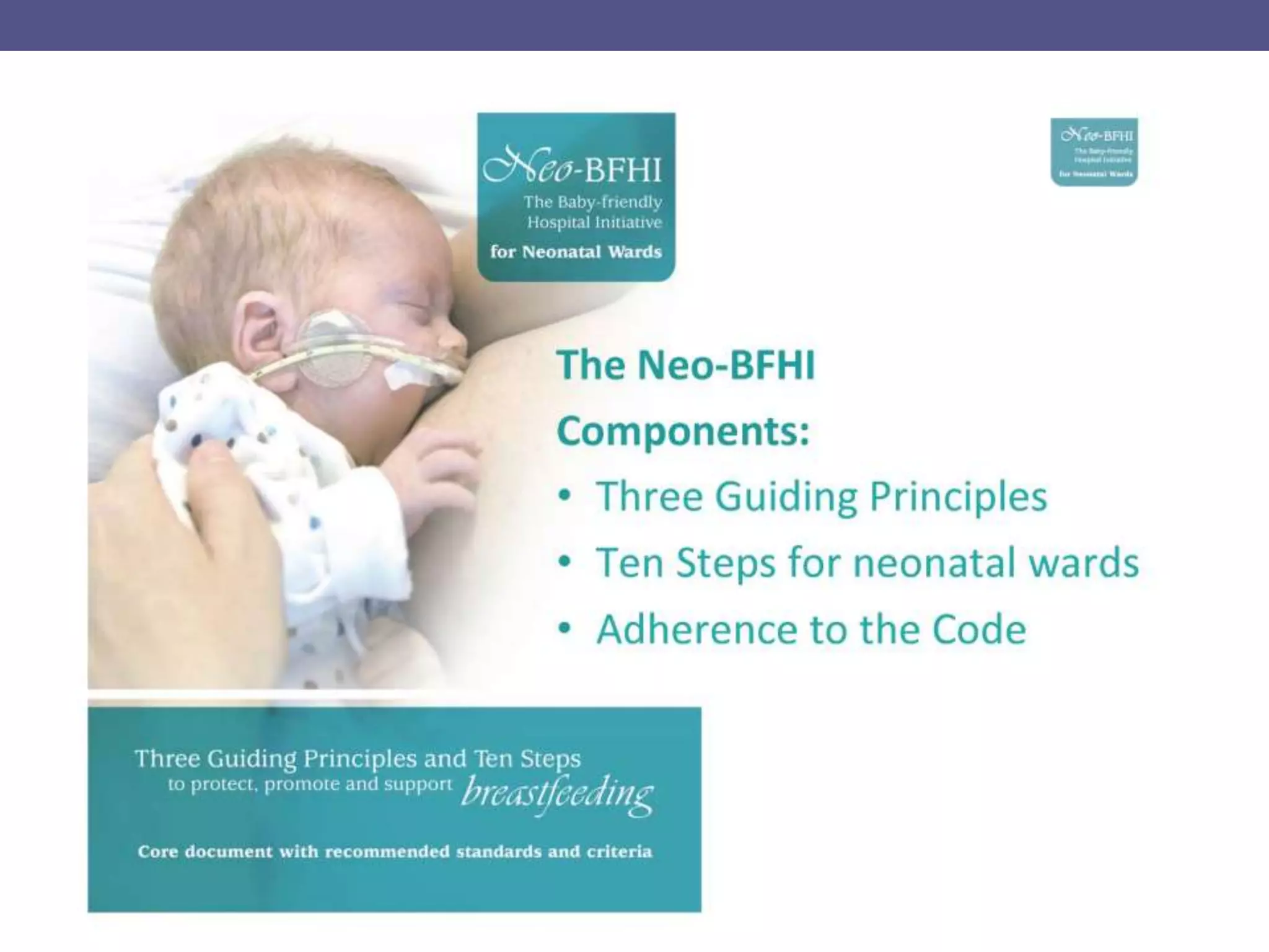 Neo-BFHI：BFHIのNICU拡大版
 