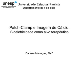 Danusa Menegaz, Ph.D
Patch-Clamp e Imagem de Cálcio:
Bioeletricidade como alvo terapêutico
Universidade Estadual Paulista
Departamento de Fisiologia
 