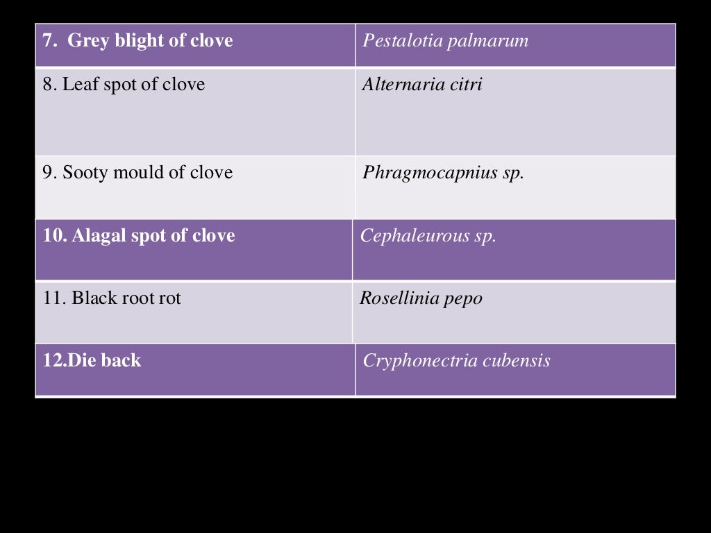Diseases of clove