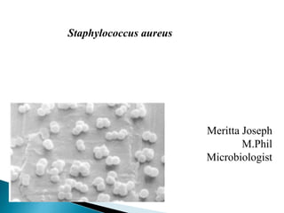 Staphylococcus aureus
Meritta Joseph
M.Phil
Microbiologist
 