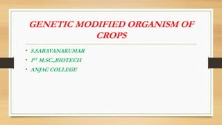 GENETIC MODIFIED ORGANISM OF
CROPS
• S.SARAVANAKUMAR
• 1ST M.SC.,BIOTECH
• ANJAC COLLEGE
 