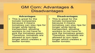 GMO crops