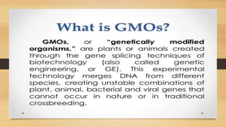 GMO crops
