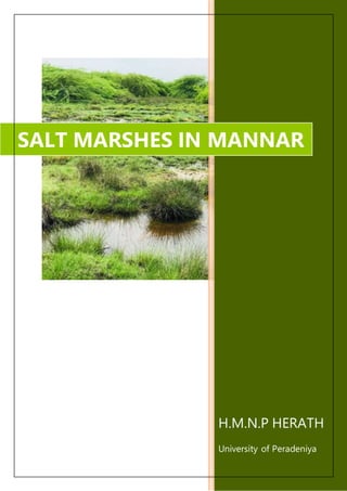 H.M.N.P HERATH
University of Peradeniya
SALT MARSHES IN MANNAR
 