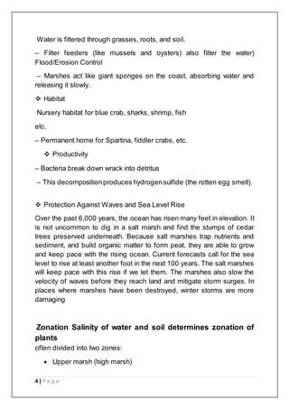 4 | P a g e
Water is filtered through grasses, roots, and soil.
– Filter feeders (like mussels and oysters) also filter the water)
Flood/Erosion Control
– Marshes act like giant sponges on the coast, absorbing water and
releasing it slowly.
 Habitat
Nursery habitat for blue crab, sharks, shrimp, fish
etc.
– Permanent home for Spartina, fiddler crabs, etc.
 Productivity
– Bacteria break down wrack into detritus
– This decompositionproduces hydrogensulfide (the rotten egg smell).
 Protection Against Waves and Sea Level Rise
Over the past 6,000 years, the ocean has risen many feet in elevation. It
is not uncommon to dig in a salt marsh and find the stumps of cedar
trees preserved underneath. Because salt marshes trap nutrients and
sediment, and build organic matter to form peat, they are able to grow
and keep pace with the rising ocean. Current forecasts call for the sea
level to rise at least another foot in the next 100 years. The salt marshes
will keep pace with this rise if we let them. The marshes also slow the
velocity of waves before they reach land and mitigate storm surges. In
places where marshes have been destroyed, winter storms are more
damaging
Zonation Salinity of water and soil determines zonation of
plants
often divided into two zones:
 Upper marsh (high marsh)
 