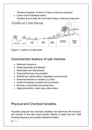 5 | P a g e
-flooded irregularly. At least 10 days continuous exposure
 Lower marsh (intertidal marsh)
-flooded almost daily. No more than 9 days continuous exposure
Figure 3 –profile of a salt marsh
Characteristic feathers of salt marshes
 Saltmarsh dynamics
 Seasonal growth and dieback
 Halophytes and Glycophytes
 Seasonal biomass accumulation
 Rainfall and salinity affects vegetation cover/survival
 Seasonal behavior in animals e.g. birds
 Impact of grazing on plants and succession
 Biomass, productivity and energy flow
 Algal productivity: creek sides, plant stems
Physical and Chemical Variables
Important physical and chemical variables that determine the structure
and function of the salt marsh include: Salinity of water and soil ,Tidal
flooding frequency and duration Nutrient limitation
 