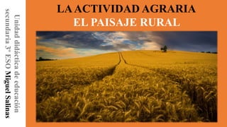 Unidaddidácticadeeducación
secundaria3ºESOMiguelSalinas
LAACTIVIDAD AGRARIA
EL PAISAJE RURAL
 