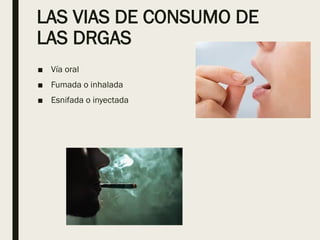LAS VIAS DE CONSUMO DE
LAS DRGAS
■ Vía oral
■ Fumada o inhalada
■ Esnifada o inyectada
 