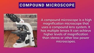 Compound Microscope Evolution Evolution & Types of Microscope | PDF