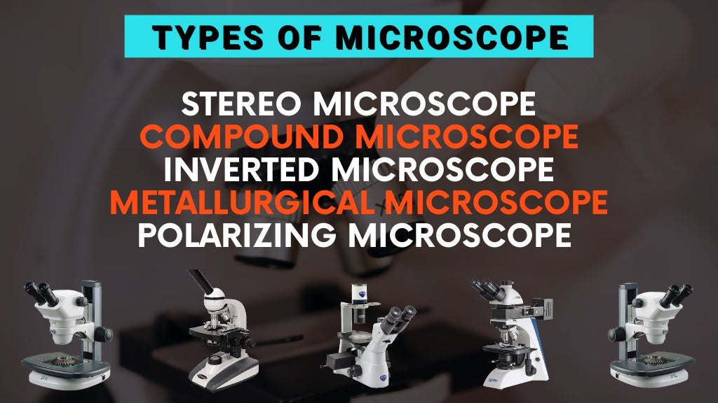 Evolution & Types of Microscope