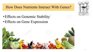 How Does Nutrients Interact With Genes?
•Effects on Genomic Stability
•Effects on Gene Expression
12
 