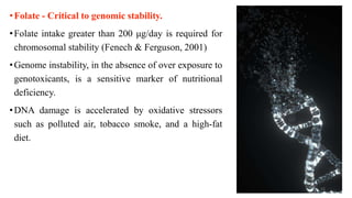 •Folate - Critical to genomic stability.
•Folate intake greater than 200 μg/day is required for
chromosomal stability (Fenech & Ferguson, 2001)
•Genome instability, in the absence of over exposure to
genotoxicants, is a sensitive marker of nutritional
deficiency.
•DNA damage is accelerated by oxidative stressors
such as polluted air, tobacco smoke, and a high-fat
diet.
15
 