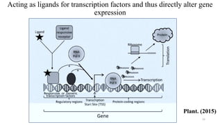 Acting as ligands for transcription factors and thus directly alter gene
expression
23
Plant. (2015)
 