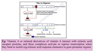 Eg: Vitamin A or retinoid derivatives of vitamin A interact with retinoic acid
receptor proteins, and these complexes activate or repress transcription when
they bind to motifs (eg:retinoic acid response elements) in gene promoter regions
24
 