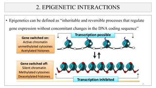 2. EPIGENETIC INTERACTIONS
• Epigenetics can be defined as “inheritable and reversible processes that regulate
gene expression without concomitant changes in the DNA coding sequence”
25
 