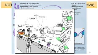 NUTRI-EPIGENETIC INTERACTION (DNA Methylation)
26
 